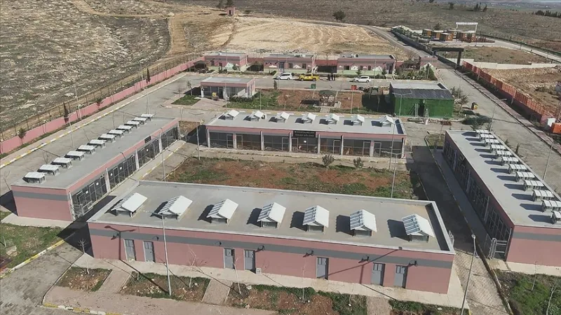 Se recogieron 27 mil 960 animales vagabundos en Şanlıurfa